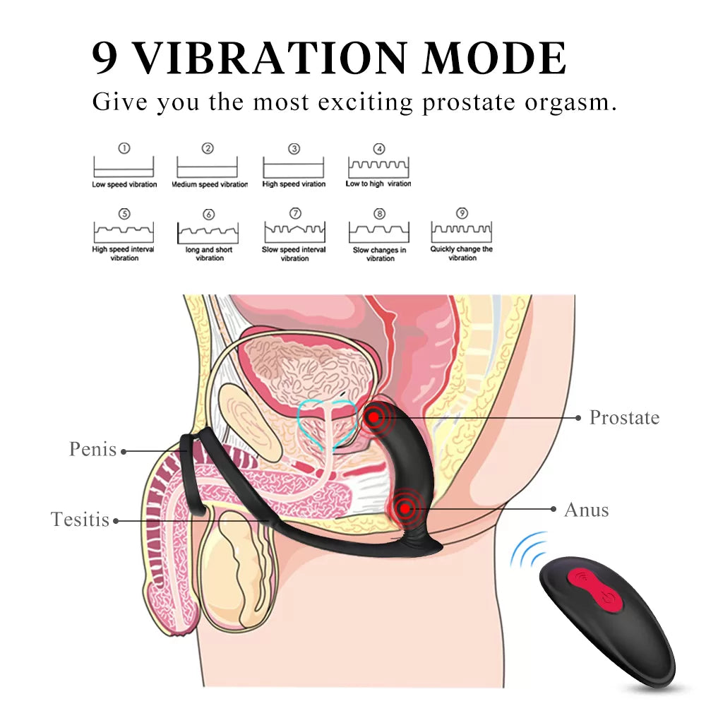 Lanco - Şarjlı Testis ve Penis Halkalı Prostat ve Anüs Uyarıcı Masaj Vibratör